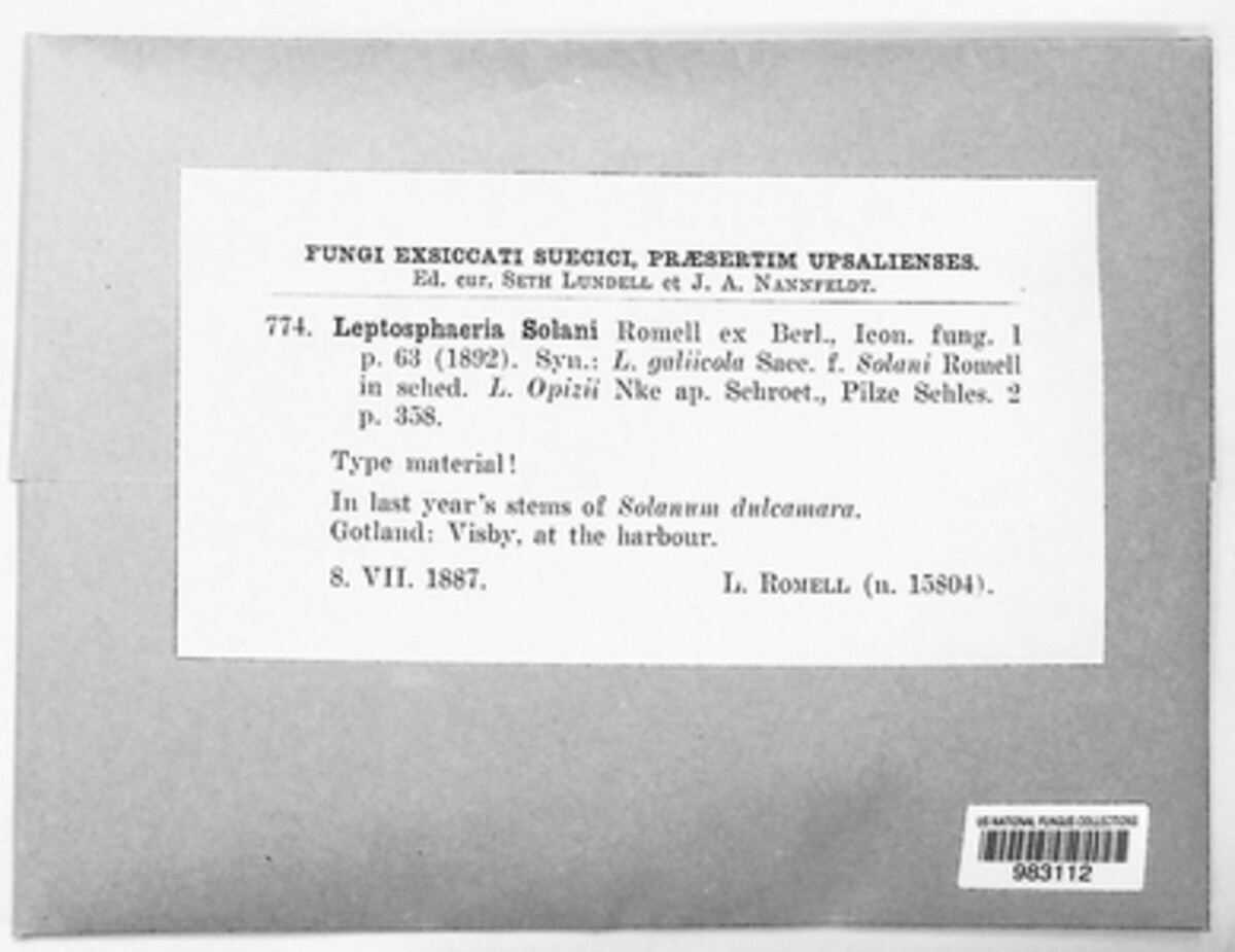 Leptosphaeria solani image
